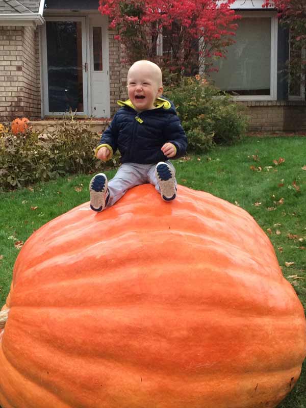Ryan's Pumpkin