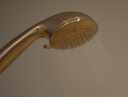 Shower Legionnaires Disease