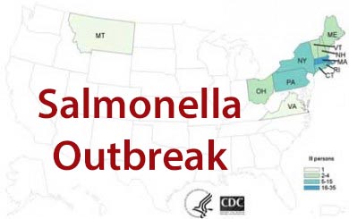 Bean Sprout Salmonella Outbreak