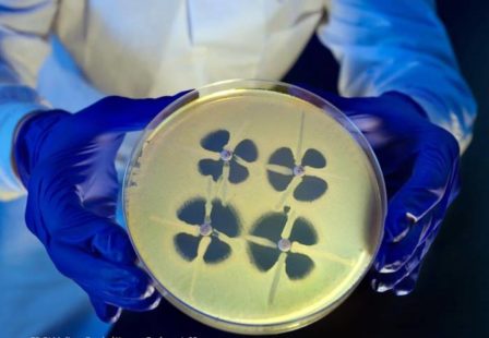 Carbapenem-Resistant Enterobacteriaceae