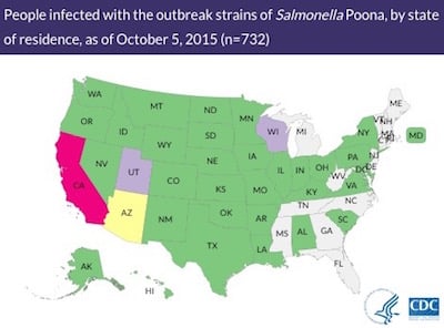 Salmonella Outbreak from the CDC