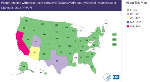 Cucumber Salmonella Poona Map