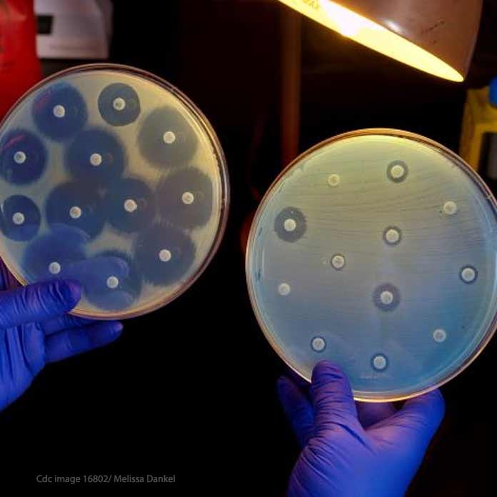 Testing Antibiotic Resistance