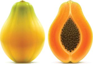 Papaya Outbreak