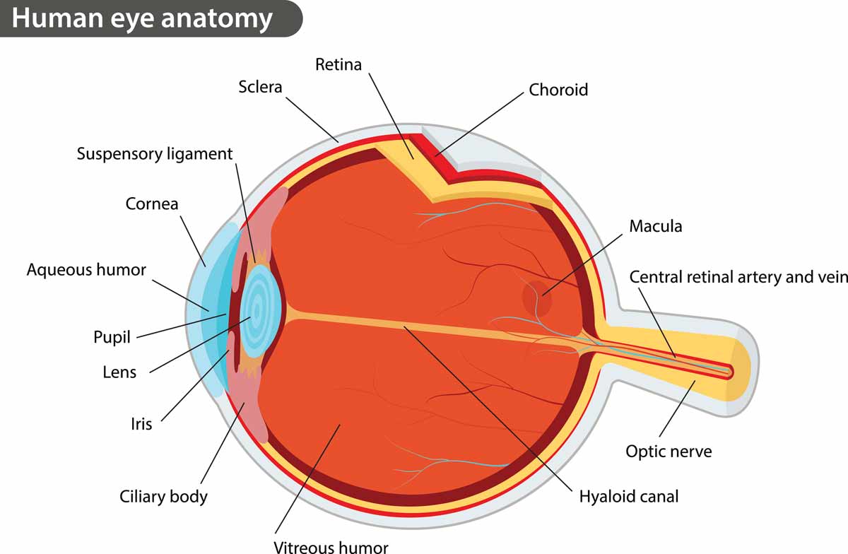 Eye Injury