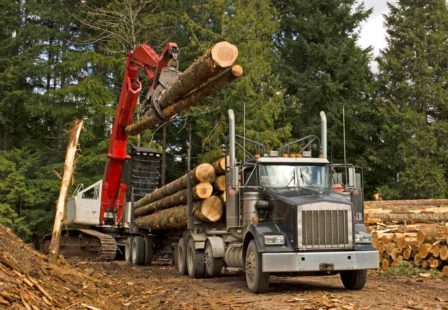 Logging Truck