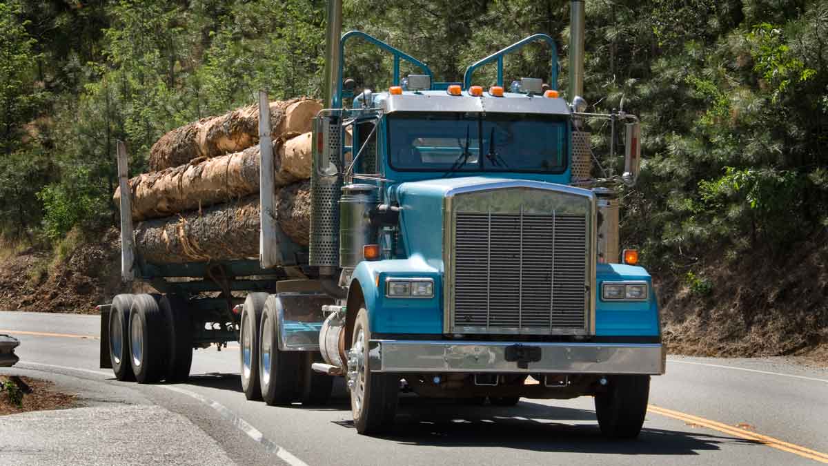 Truck Hauling Logs
