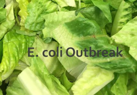 Romaine Lettuce E. coli HUS