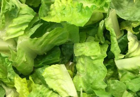 Romaine Lettuce E coli Outbreak