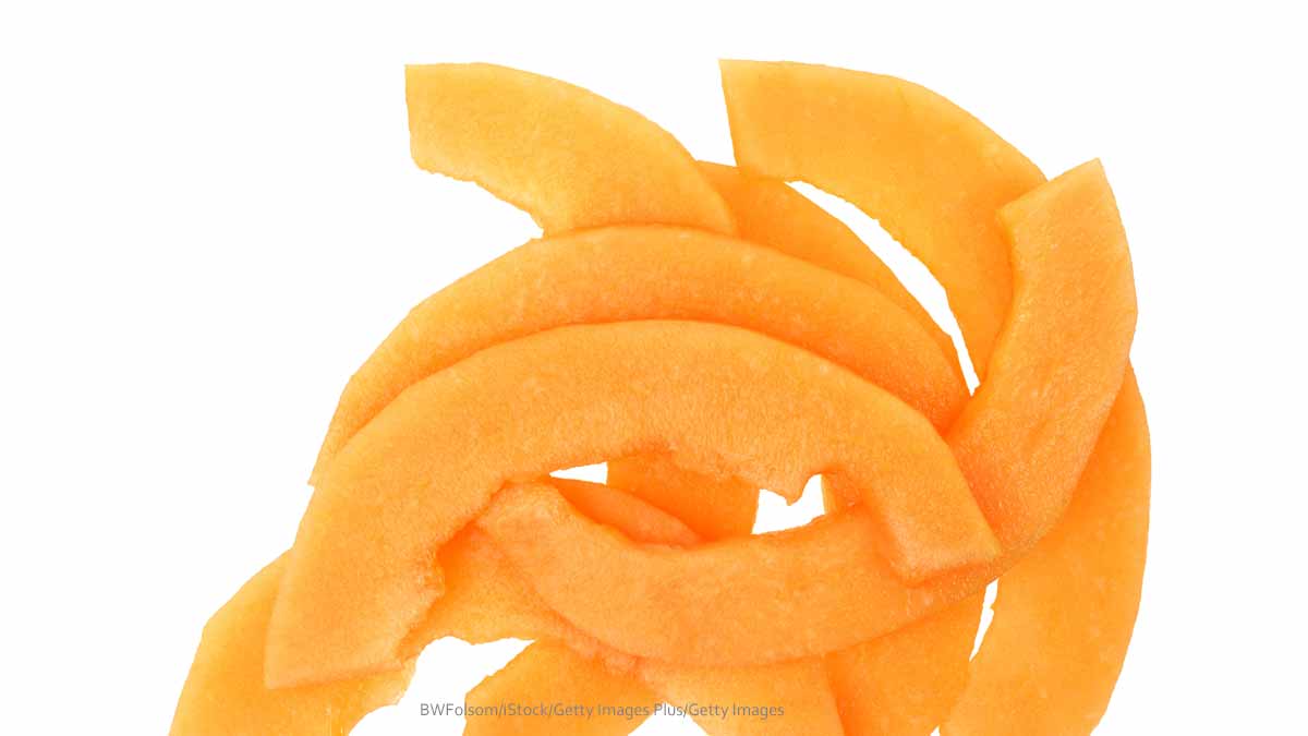 Cantaloupe Melon Food Poisoning