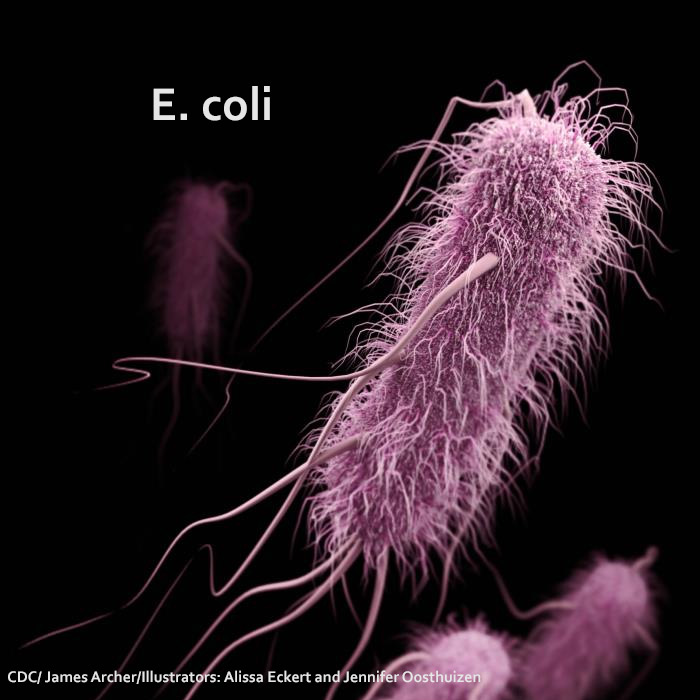 E. coli Lawsuit