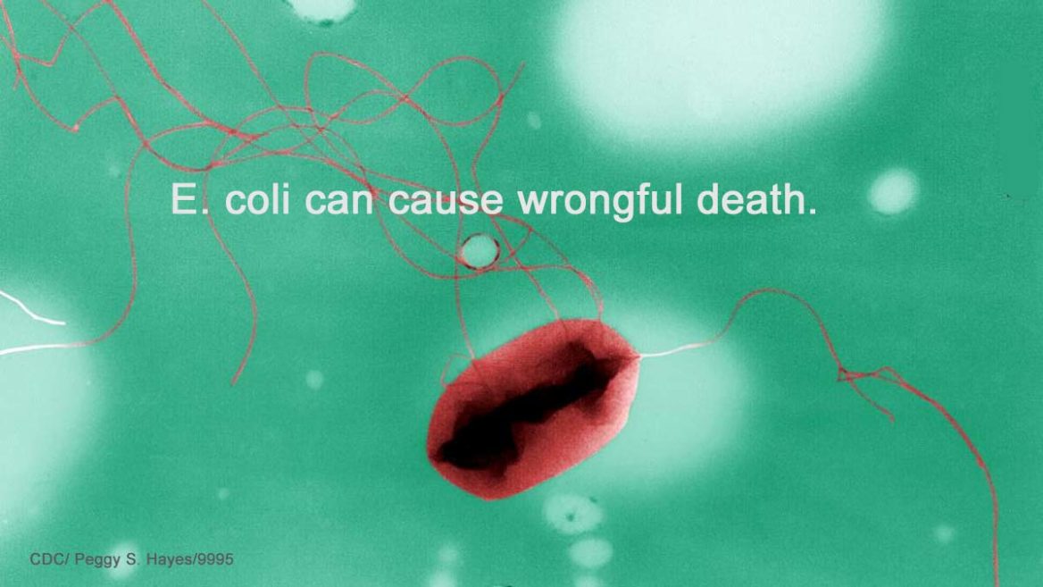 E. coli Wrongful Death CDC
