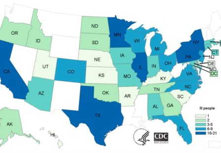 Salmonella Lawyer Turkey Outbreak