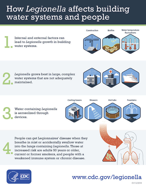 CDC illustration of how Legionella bacteria affects water systems