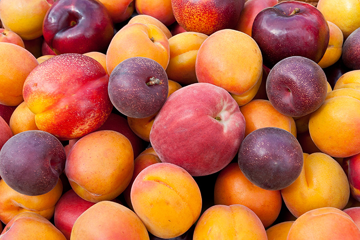 Listeria lawyers- Listeria on stone fruit