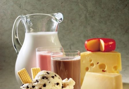 Dairy products, milk, cheese, ice cream