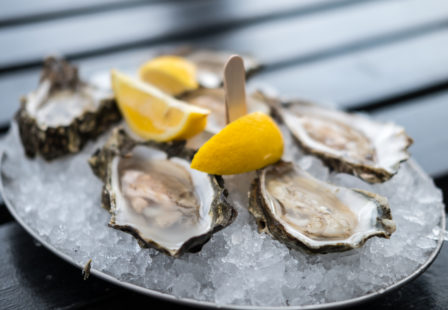 Oysters on a plate of ice