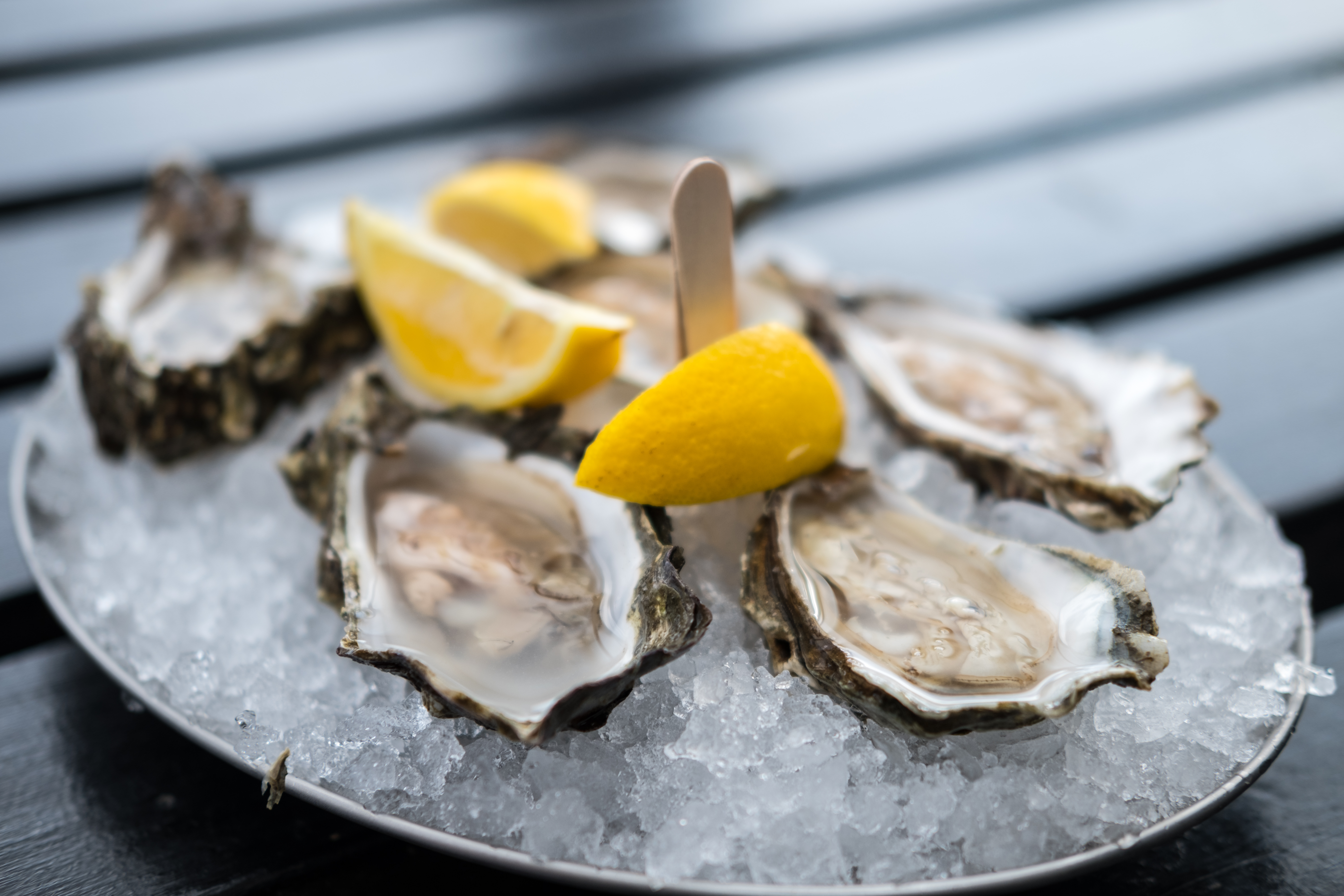 Oysters on a plate of ice