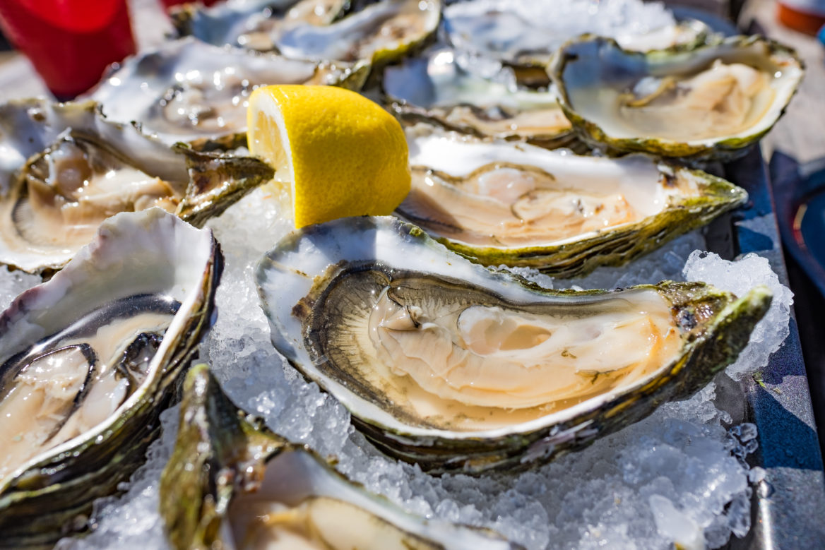 Oysters on a plate