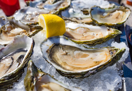 Oysters on a plate