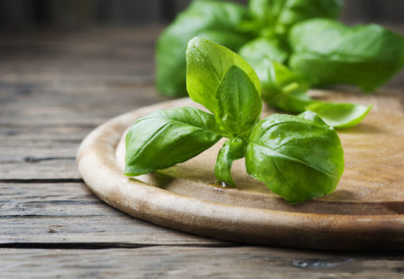 Cyclospora-Attorney-Imported-Basil-Outbreak