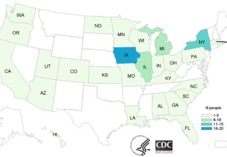 Salmonella Lawyer Pig Ear Dog Treat Outbreak Map from CDC