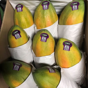 cavi brand papayas from agrosons