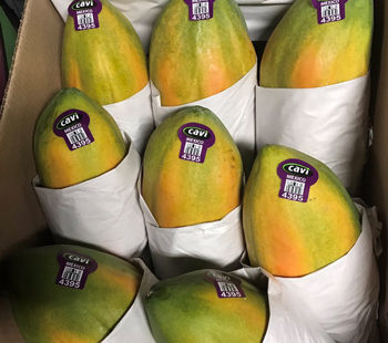Salmonella lawyer: Cavi brand papayas from Agroson's