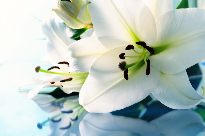 Memorial flowers