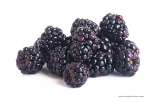 Hepatitis lawyer - blackberries