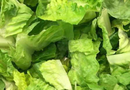 romaine E. coli outbreak