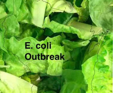 E. coli lawyer- Wisconsin romaine E. coli outbreak