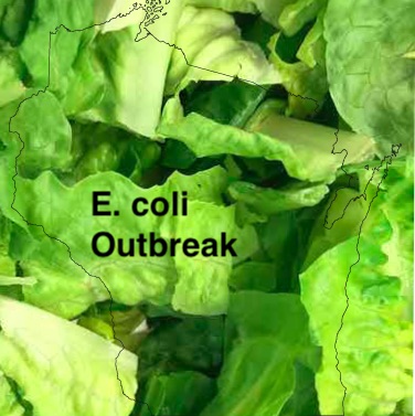 E. coli lawyer- Wisconsin romaine E. coli outbreak