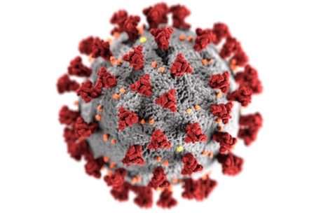 CDC coronavirus image