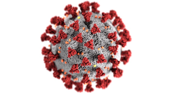 CDC coronavirus image