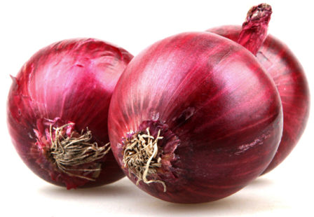 Red Onion Salmonella Outbreak