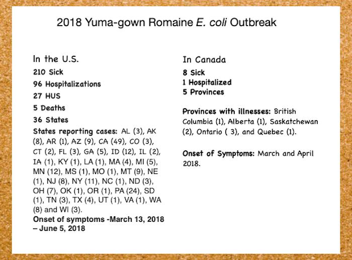 E. coli Lawyer - Yuma-growm Romaine E. coli