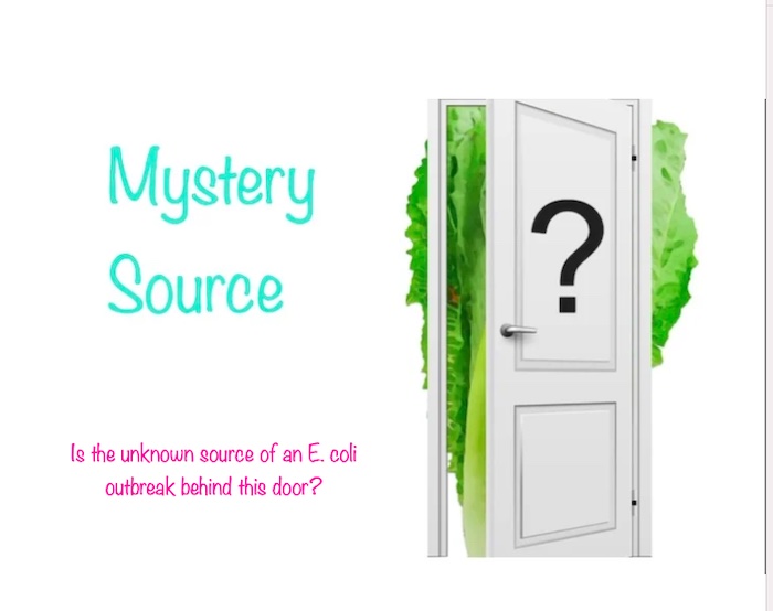 E. coli lawyer - Is the unknown source of an E. coli outbreak romaine?