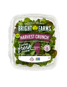 BrightFarms Harvest Crunch Salad - Salmonella