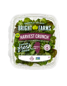 BrightFarms Harvest Crunch Salad - Salmonella