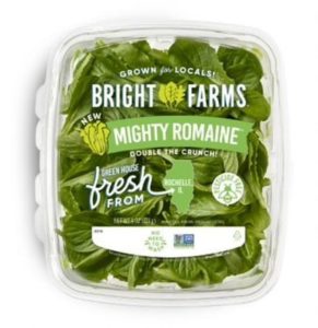 BrightFarms Mighty Romaine Salad - Salmonella