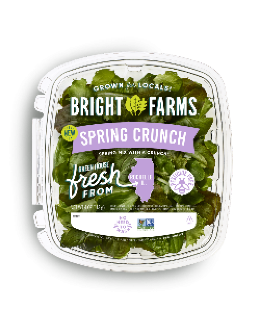 BrightFarms Announces Recall of Prepackaged Salads Due to Salmonella