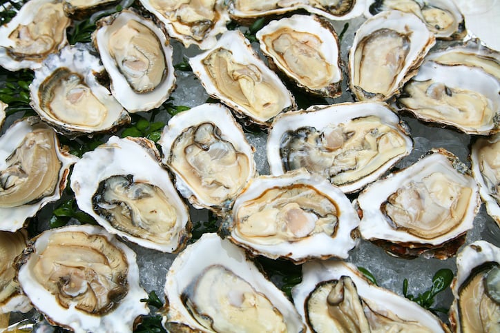Raw oyster Salmonella outbreak