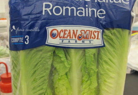 ocean mist farms romaine hearts with possible cyclospora contamination