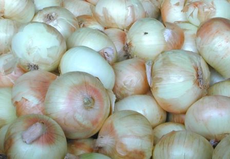 Vidalia onion Listeria recall