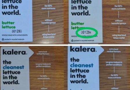 Kalera lettuce Salmonella recall