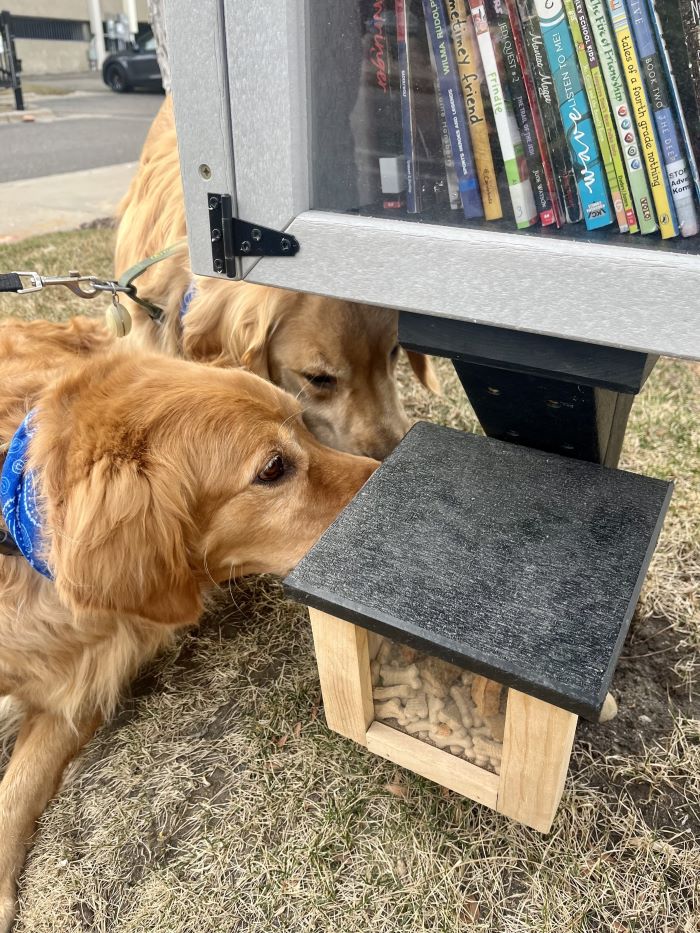 dog treat box in front of the pritzker hageman little free library
