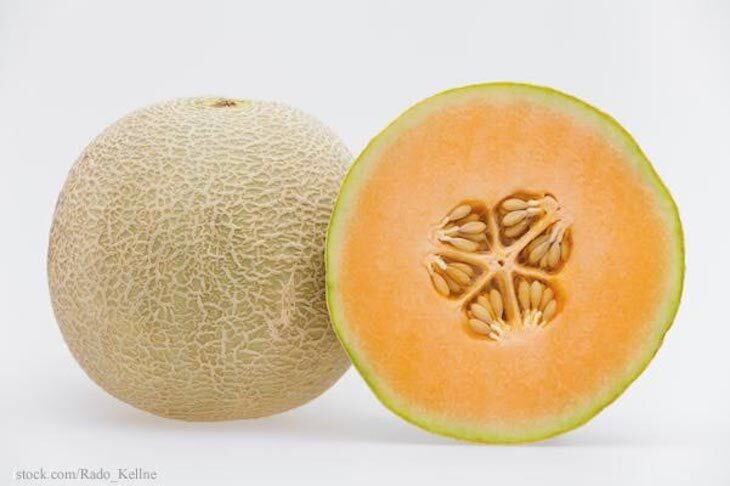 Cantaloupe Salmonella