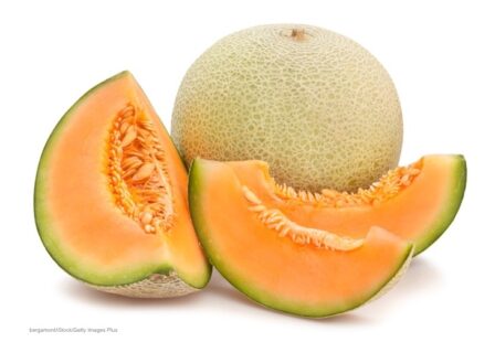 Minnesota Salmonella cantaloupe