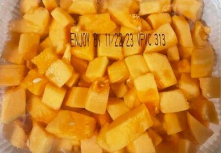 Cut cantaloupe Salmonella recall